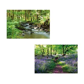 Bilder / Digitaldrucke Wald mit Lavendel und Flulauf