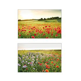 Digitaldruck Mohnblumen & Blumenwiese